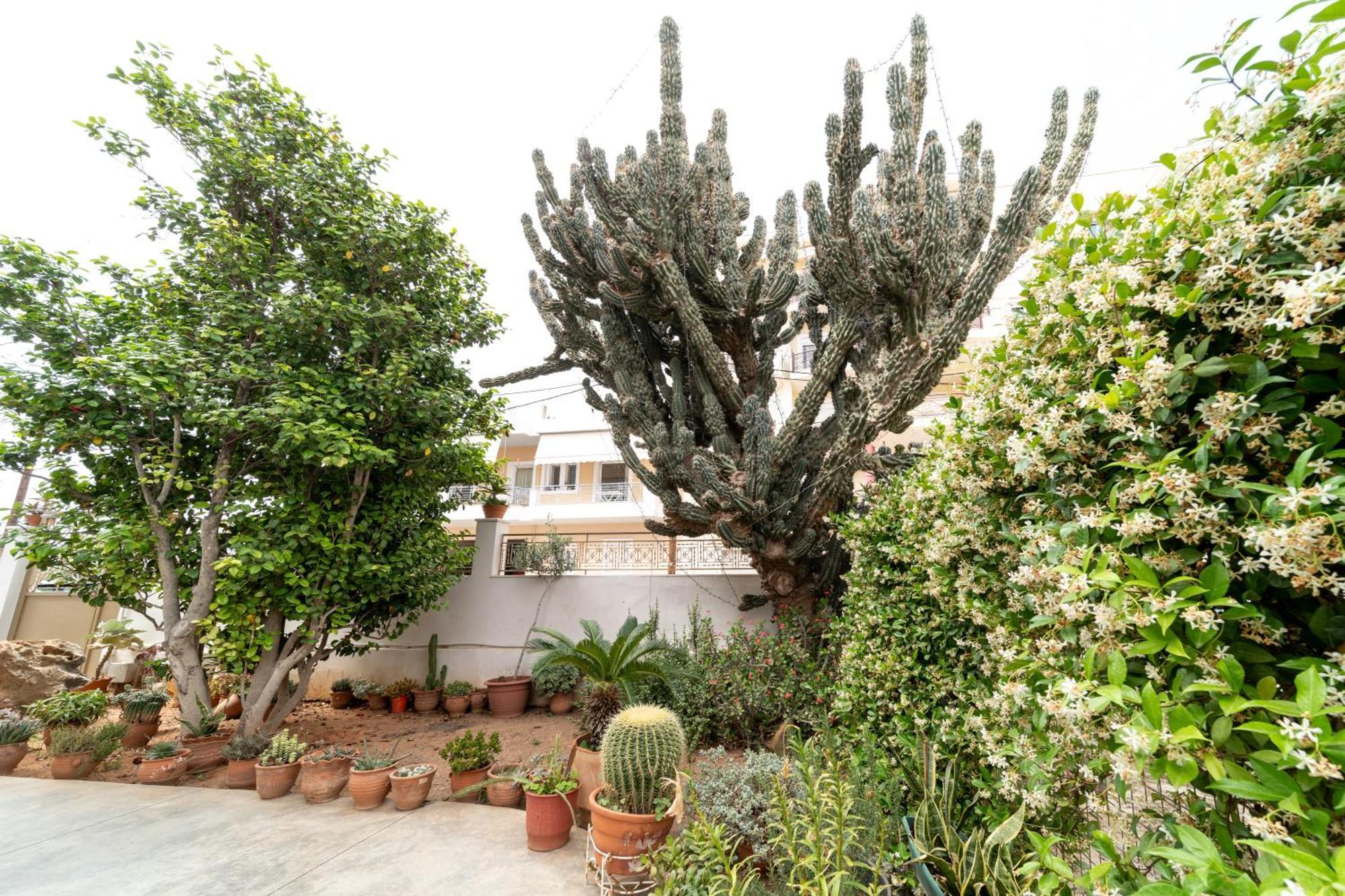 Cactus - Blooming Garden Apartments Kalamata Exteriör bild